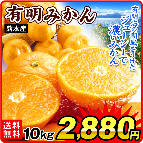 みかん 10kg 有明みかん 熊本産 ご家庭用 サイズ混合 温州みかん 送料無料 食品