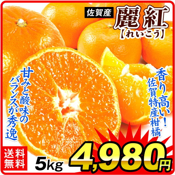 みかん 5kg 麗紅 佐賀産 れいこう 高糖度 濃厚な果汁と芳香 みかんのように手でむける 春柑橘 高級 果物 フルーツ 送料無料 食品