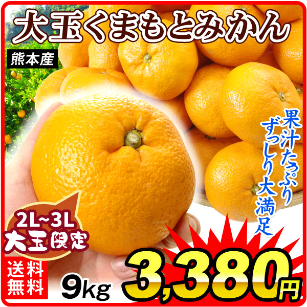 みかん 9kg 大玉みかん 熊本産 ご家庭用 ２Ｌ~３Ｌ 蜜柑 果汁たっぷり 温州 こたつみかん 送料無料 食品
