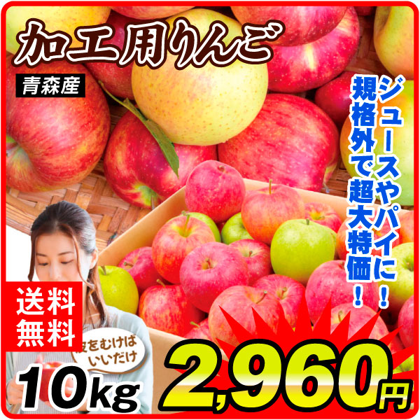 りんご 10㎏ 加工用りんご 青森産  訳あり 送料無料 食品