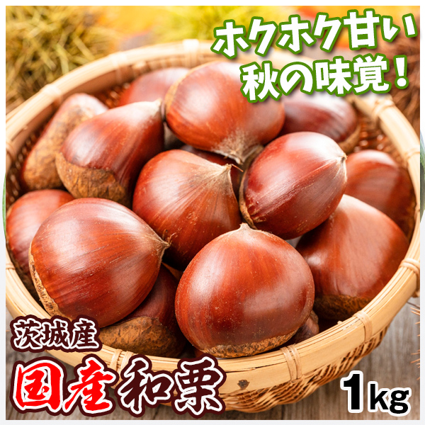 くり 国産和栗 1kg 茨城産 生栗 冷蔵便 送料無料 食品