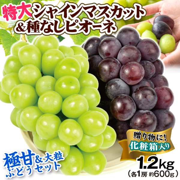 ぶどう 長野・山梨産 ご家庭用 シャインマスカット&岡山産 種なしピオーネセット 約1.2kg 大粒 種なし 化粧箱 送料無料 食品