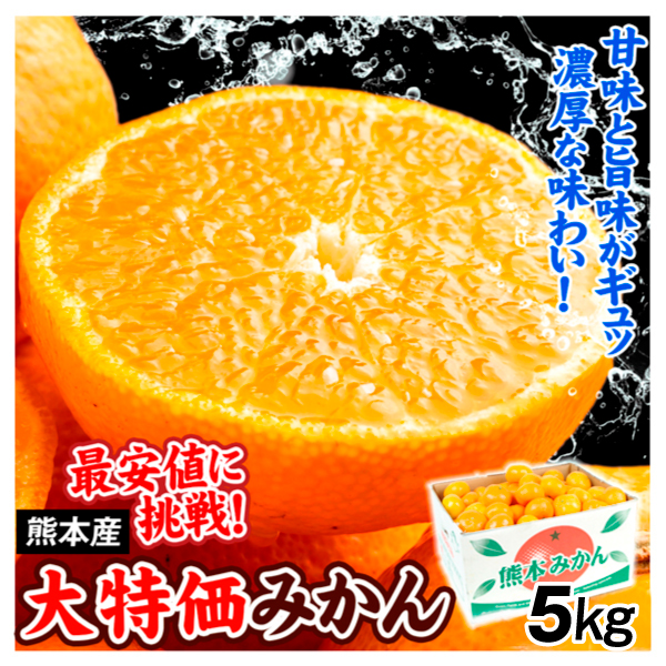 みかん 大特価 熊本のうまいみかん 約5㎏ 熊本産 送料無料 食品 ※新聞広告掲載商品