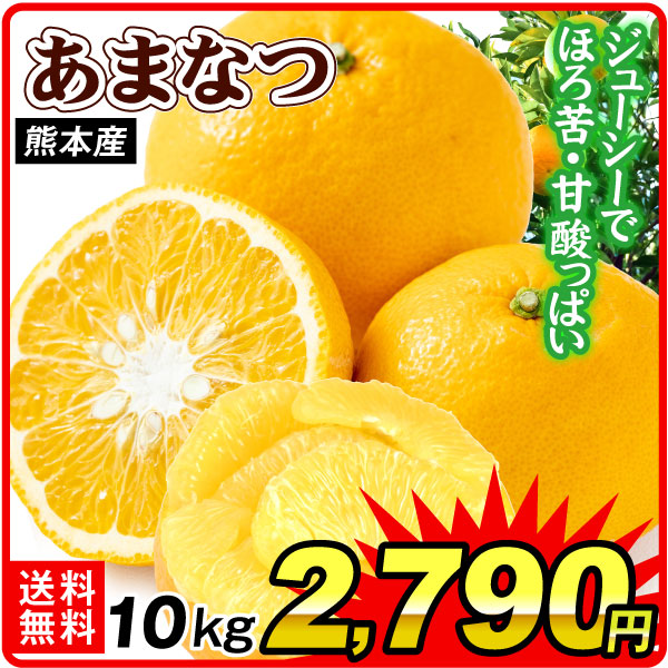みかん 10kg 甘夏 熊本産 ご家庭用 あまなつ 柑橘 果物 フルーツ 送料無料 食品