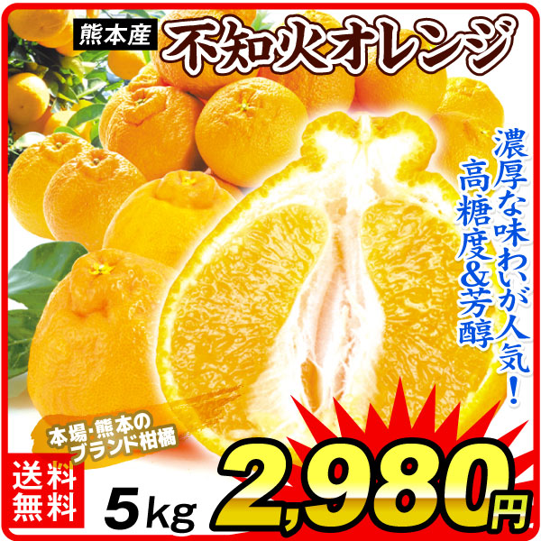 みかん 5kg 不知火オレンジ 熊本産 お買得 不知火 デコ ご家庭用 柑橘 果物 フルーツ 送料無料 食品