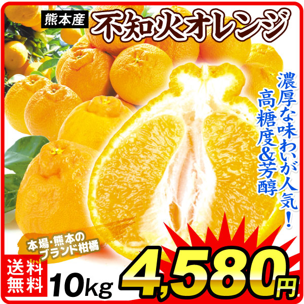 みかん 10kg 不知火オレンジ 熊本産 お買得 不知火 デコ 柑橘 果物 フルーツ 送料無料 食品