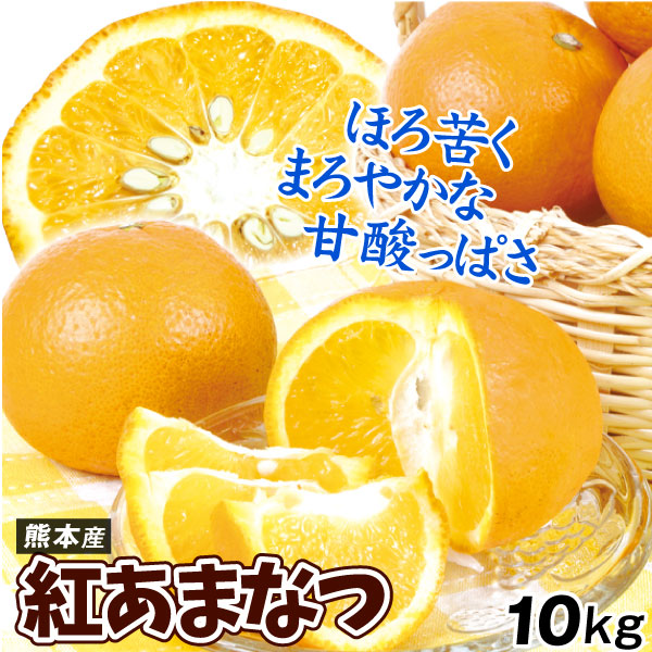 みかん 10kg 紅甘夏 熊本産 ご家庭用 甘夏 柑橘 果物 フルーツ 送料無料 食品