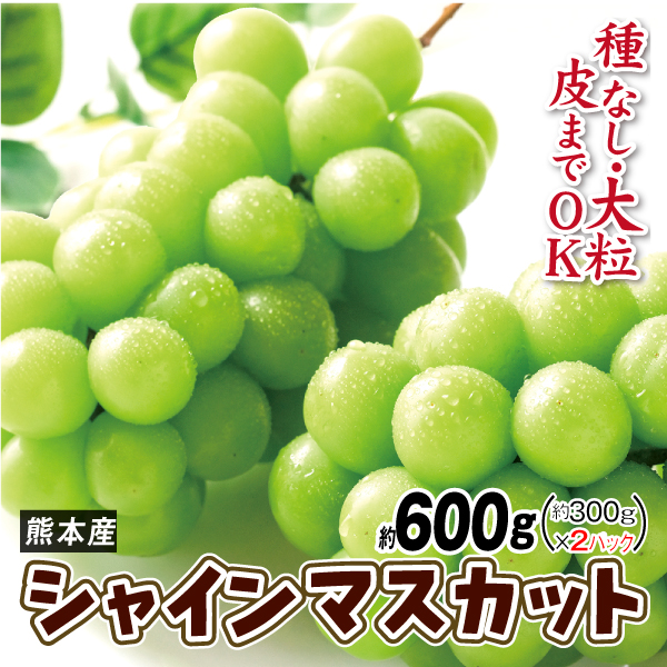ぶどう 約600g 早出しシャインマスカット 熊本産 ご家庭用 300g×2パック 種なし 皮ごとOK 送料無料 食品