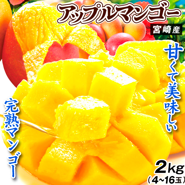 マンゴー 2kg ふぞろいアップルマンゴー 宮崎産 ご家庭用 1kg×2箱 宮崎マンゴー 芒果 完熟 太陽のタマゴと同じ 送料無料 食品