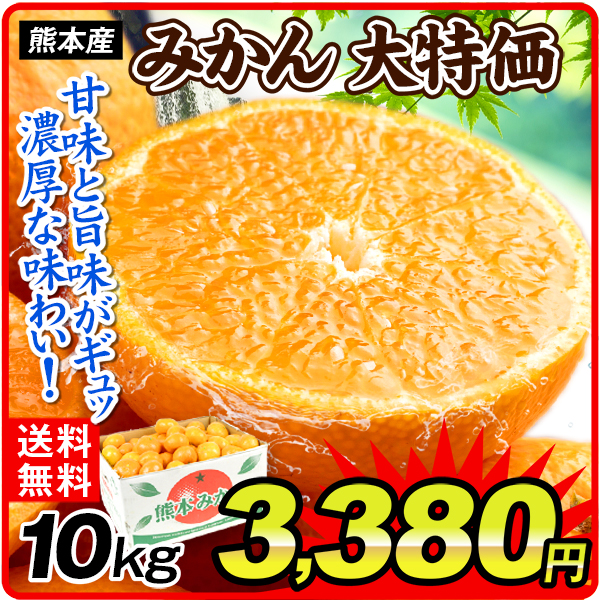 みかん 10kg 大特価みかん 熊本産 温州 送料無料 食品