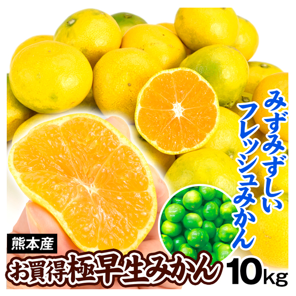 みかん 10kg ご家庭用 極早生みかん 熊本産 送料無料 食品
