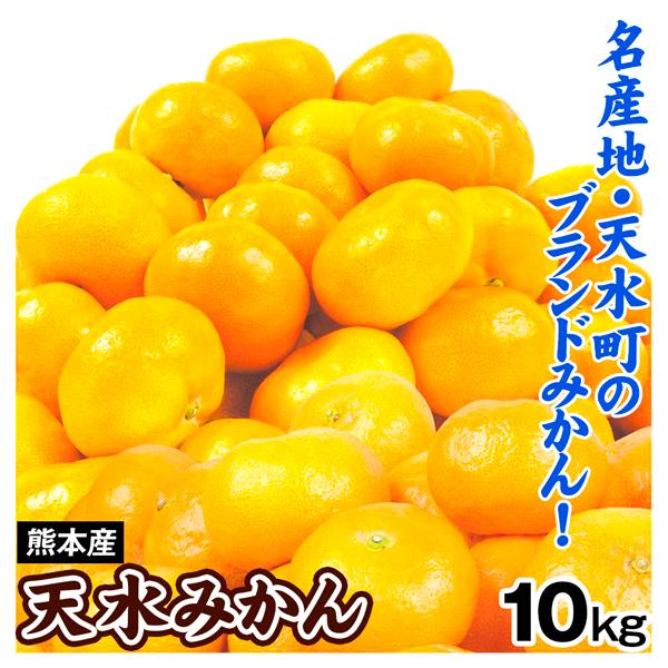 みかん 10kg 天水みかん 熊本産 天水 ブランドみかん 蜜柑 柑橘 果物 フルーツ 送料無料 食品