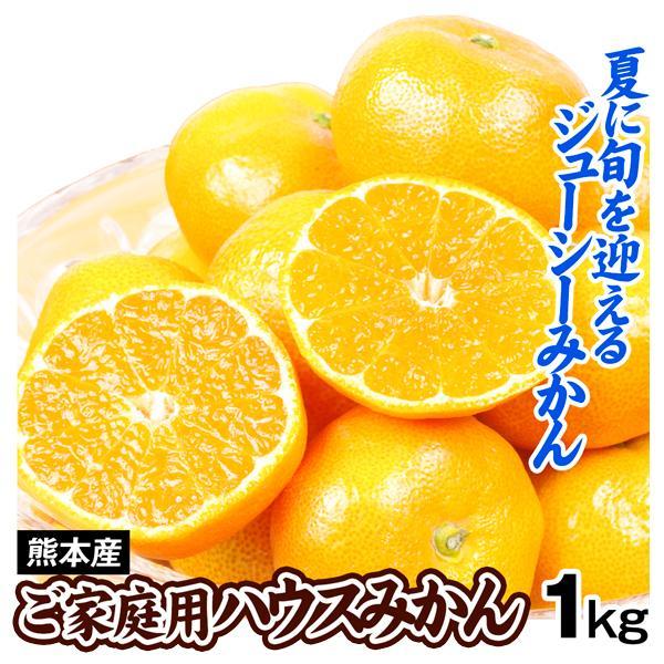 みかん 1kg ご家庭用 ハウスみかん 熊本産 ハウス 蜜柑 温州みかん 送料無料 食品