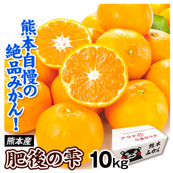 みかん 10kg 肥後の雫 ご家庭用 熊本産 送料無料 食品