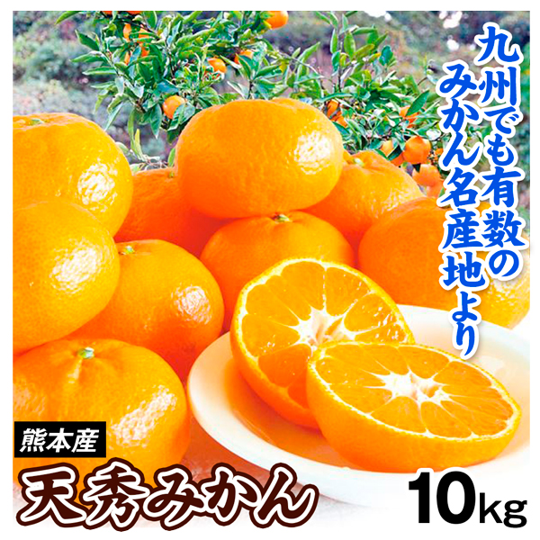 みかん 10kg 天秀みかん 熊本産 送料無料 食品
