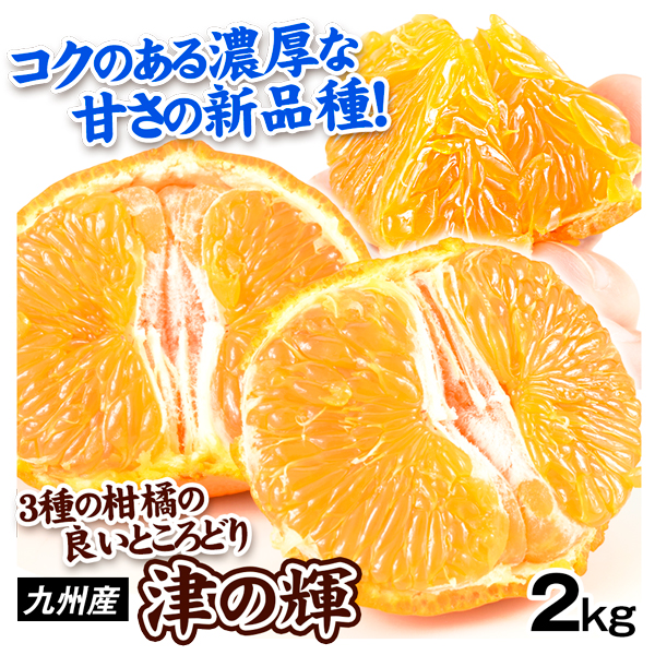 みかん 2kg 津の輝 九州産 送料無料 食品