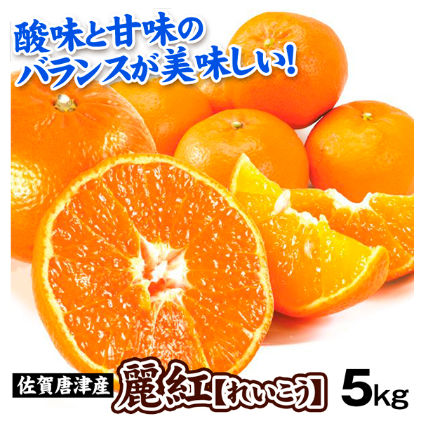 みかん 5kg 麗紅 佐賀・唐津産 送料無料 食品