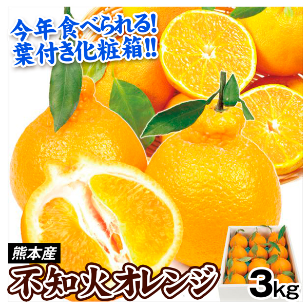 みかん 3kg ギフト用 不知火オレンジ 熊本産 化粧箱入り 柑橘の王様 年内出荷 送料無料 食品