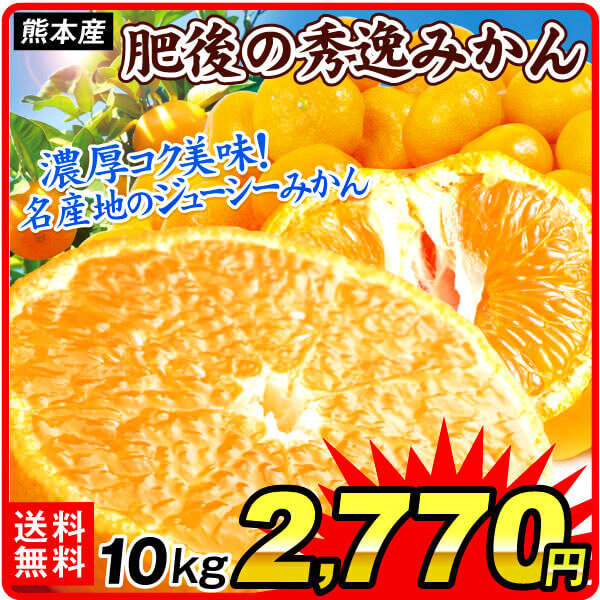 みかん 10kg 肥後の秀逸みかん 熊本産 蜜柑 温州 柑橘 果物 フルーツ 送料無料 食品