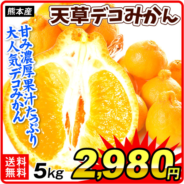 みかん 5kg 天草デコみかん 熊本産 デコ 不知火 柑橘 果物 フルーツ 送料無料 食品