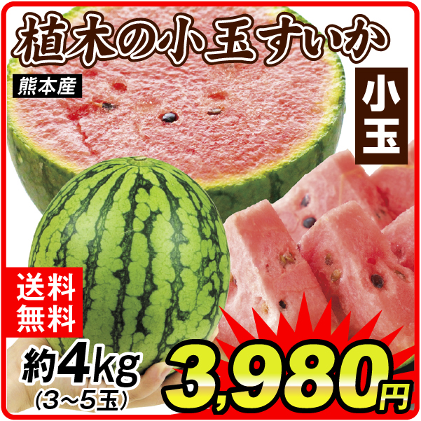 スイカ 約4kg（3～5玉入り）植木の小玉すいか 熊本産 送料無料 食品
