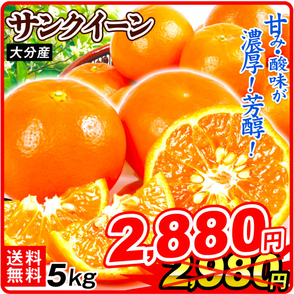 みかん 5kg サンクイーン 大分産 送料無料 食品