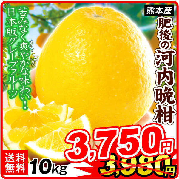 みかん 10kg 肥後の河内晩柑 お買得 熊本産 サンジューシー ご家庭用 柑橘 送料無料 食品