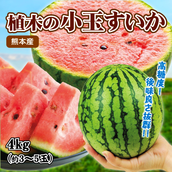 スイカ 4kg 植木の小玉すいか 熊本産 送料無料 食品