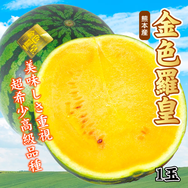 スイカ 1玉 金色羅皇 熊本産 送料無料 食品