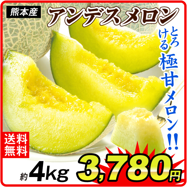 メロン 4kg アンデスメロン ご家庭用 熊本産 送料無料 食品