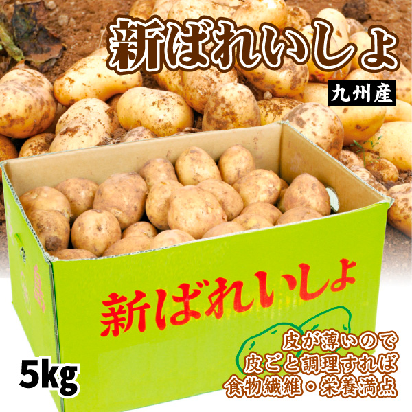 じゃがいも 5kg 新ばれいしょ 九州産 送料無料 食品