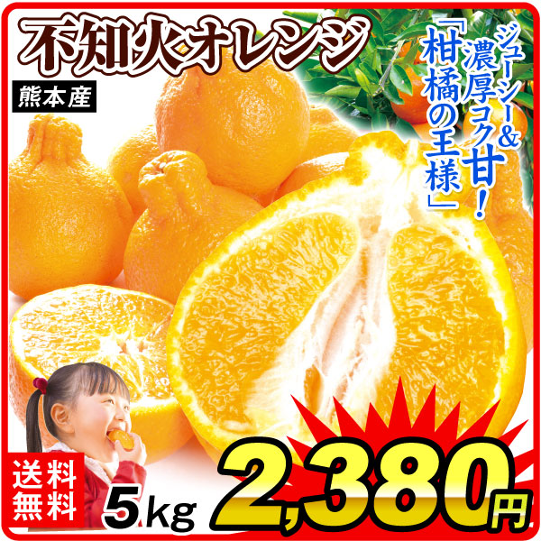 みかん 5kg 不知火オレンジ 大特価 熊本産 送料無料 食品