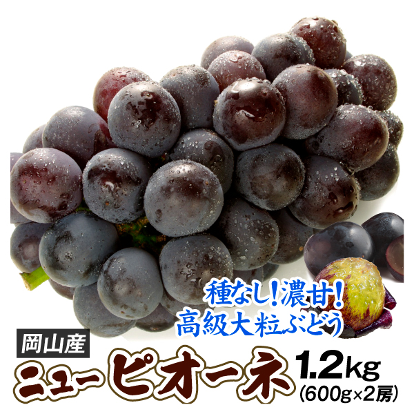 ぶどう 約1.2kg ニューピオーネ 岡山産 大房（約600g×2房）種無しブドウ 送料無料 食品