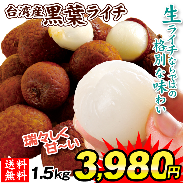 ライチ様専用 riko ⑥島津ライチ大玉 半耐寒・取り木苗 riko ⑥島津