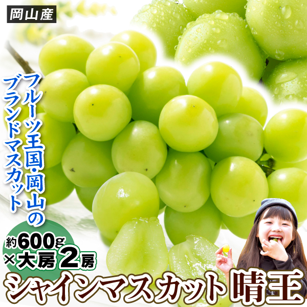 ぶどう 約1.2kg シャインマスカット「晴王」 岡山産 600g×2房 送料無料 食品