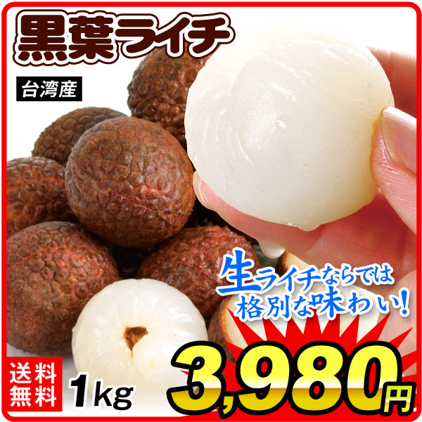 ライチ 1kg 生ライチ 黒葉 台湾産 くろば こくよう 生果 フレッシュライチ 茘枝 冷蔵便 送料無料 食品
