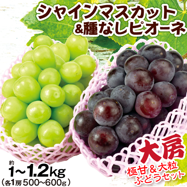 シャインピオーネ