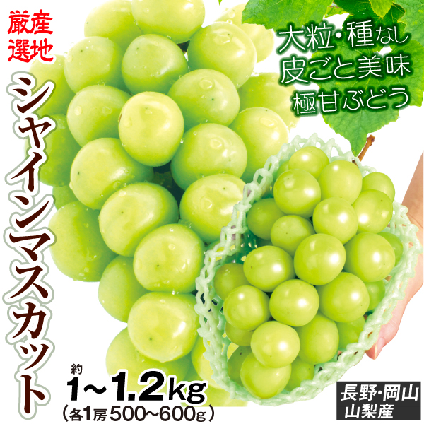 おまかせシャイン