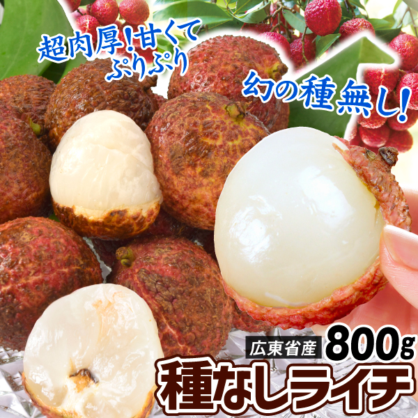 ライチ 種なし生ライチ 800g 中国広東省産 生ライチ 冷蔵便 送料無料 食品