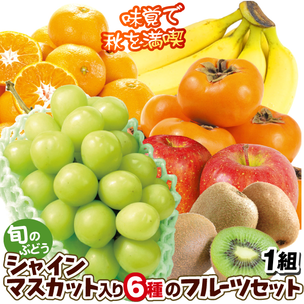 シャインマスカット入り6種のフルーツセット 6種1箱 送料無料 食品