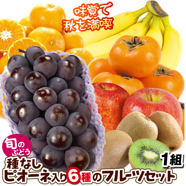 ピオーネ入り6種のフルーツセット 6種1箱 送料無料 食品