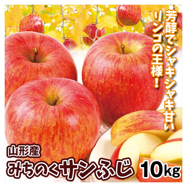 りんご 10kg みちのくサンふじ 山形産 送料無料 食品