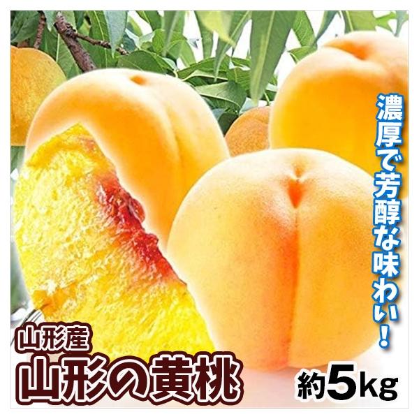 もも 大特価 山形の黄桃 約5kg 山形産 ご家庭用 黄桃 桃 品種 おまかせ 果物 フルーツ 冷蔵便 送料無料 食品