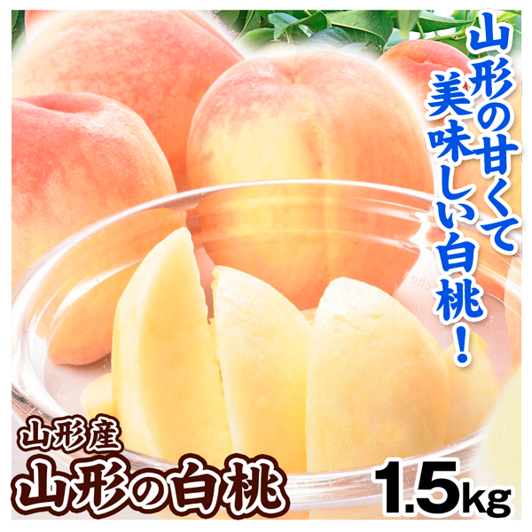 もも 1.5kg 山形の艶桃・白桃 ご家庭用 桃 白桃 品種 おまかせ 果物 フルーツ 冷蔵便 送料無料 食品