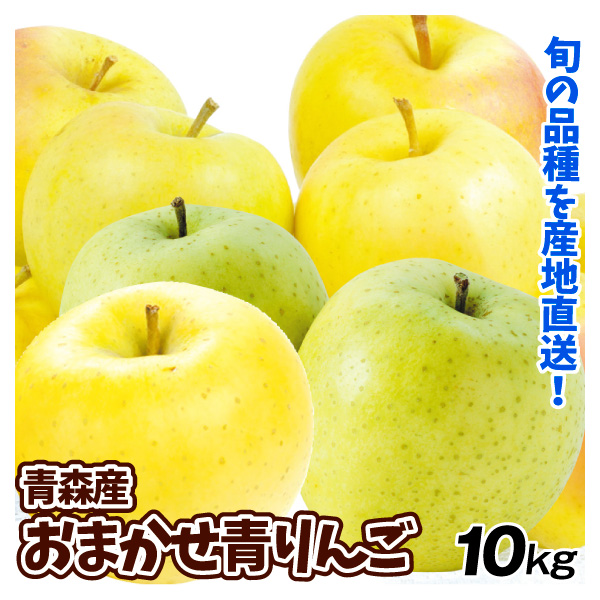 りんご 10kg おまかせ青りんご 青森産 送料無料 食品