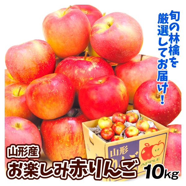 りんご 10kg お楽しみ赤りんご 山形産 送料無料 食品