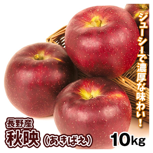 りんご 10kg 秋映 長野産 送料無料 食品