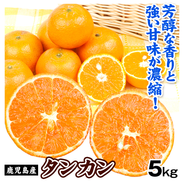 みかん 5kg タンカン 鹿児島産 送料無料 食品