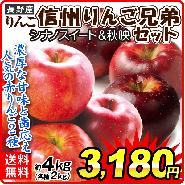 りんご 信州赤りんご兄弟セット シナノスイート&秋映 2種4kg 長野産 ご家庭用 送料無料 食品