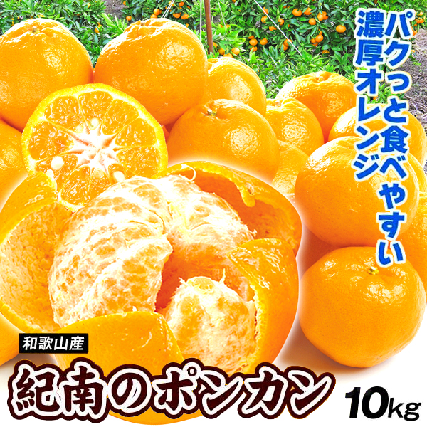 みかん 10kg 紀南のポンカン 和歌山産 ご家庭用 ぽんかん 送料無料 食品